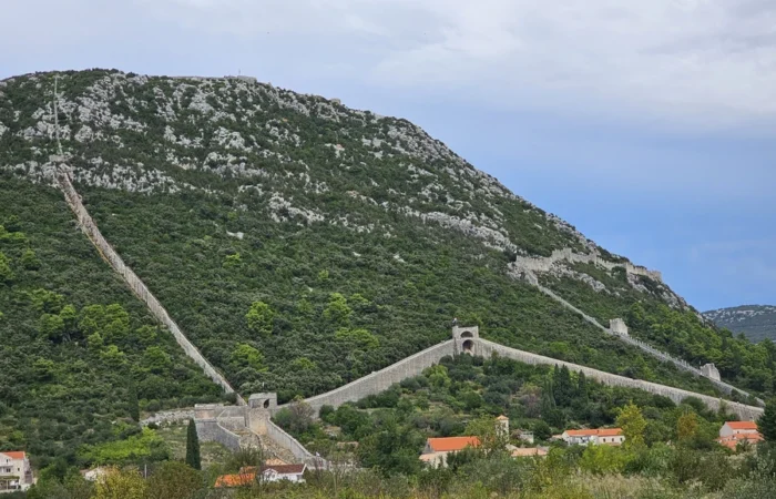 Panoramic view of the Walls of Ston, Croatia, stretching over the hills with medieval towers and lush greenery - impressive fortification and unique historic landmark on the Pelješac Peninsula.