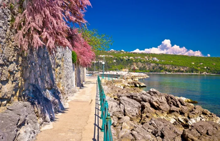 Lungomare coastal promenade in Opatija, Croatia, with blooming pink tamarisk trees, rocky shore, clear blue Adriatic Sea, and spring greenery.
