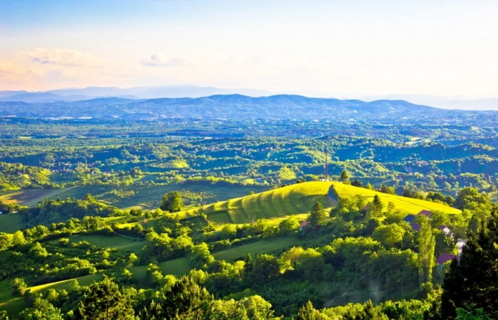 Panoramic landscape of Plešivica's rolling green hills and vineyards near Zagreb, Croatia, glowing with morning sunshine.