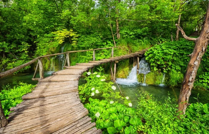 Curved wooden boardwalk passes over clear green water and small waterfalls surrounded by lush forest in Plitvice Lakes National Park, Croatia.