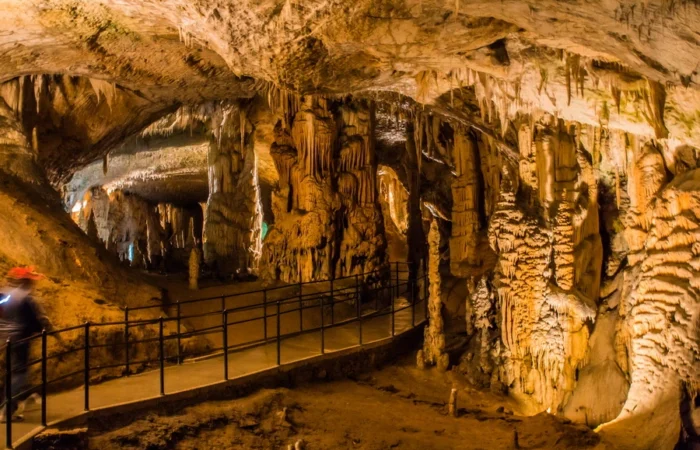 Illuminated stone walkway with railings inside Postojna Cave, Slovenia, surrounded by majestic columns of stalactites and stalagmites.