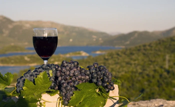 A glass of red wine stands next to freshly cut dark grapes with green leaves, overlooking a scenic hillside and blue water below.