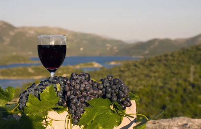 A glass of red wine stands next to freshly cut dark grapes with green leaves, overlooking a scenic hillside and blue water below.