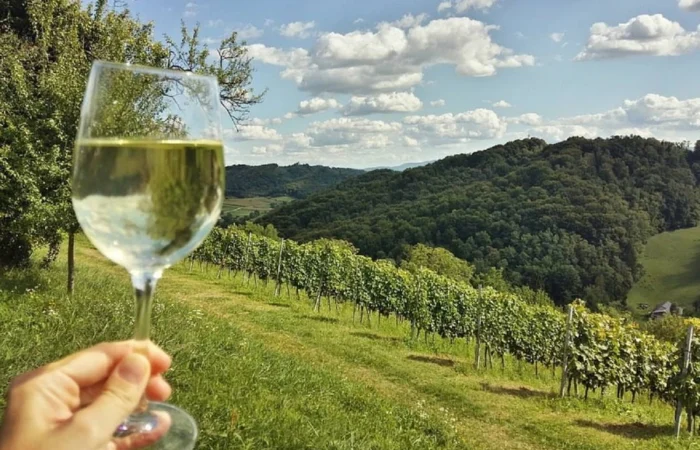 A glass of white wine is held up in front of a sunlit vineyard landscape with rolling hills, blue sky, and rows of grapevines.